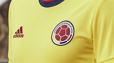 Selección Colombia, Copa América
