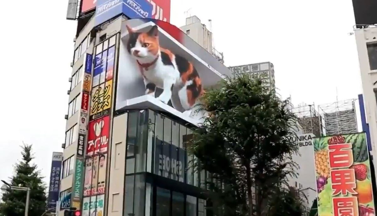 Gato 3d en Shinjuku