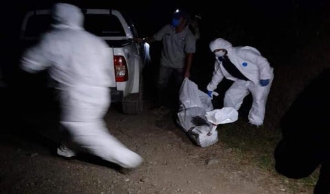 Investigan la tortura y muerte a cuchillo de una joven en Convenio – Líbano