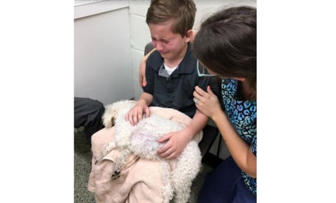 Niño adoptado conmueve al consolar a su perro en últimos minuto de vida