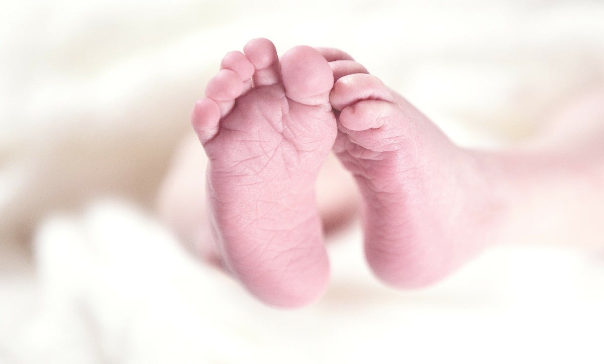 Bebés
