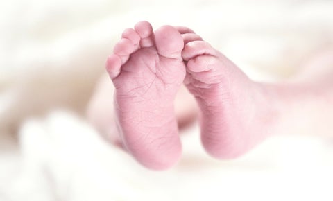 Bebés