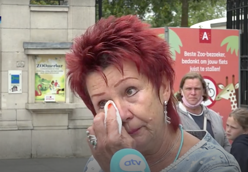 Mujer que asegura tener romance con un chimpancé