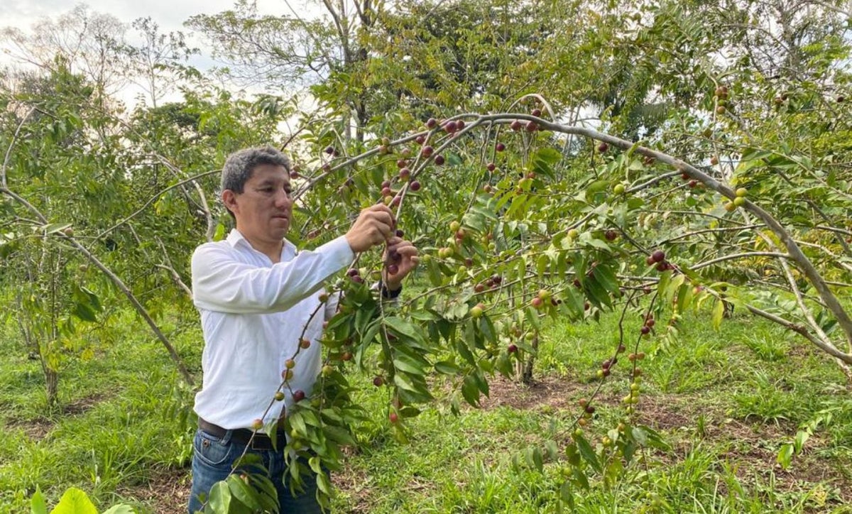 Corpocampo crea tienda virtual con productos de campesinos de zonas de conflicto