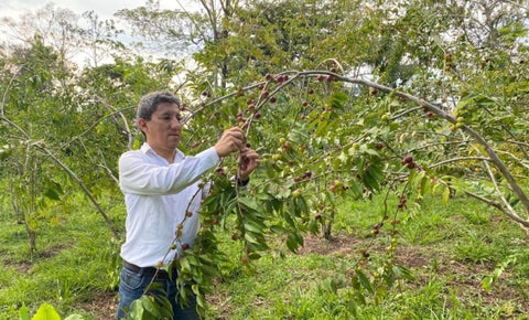 Corpocampo crea tienda virtual con productos de campesinos de zonas de conflicto