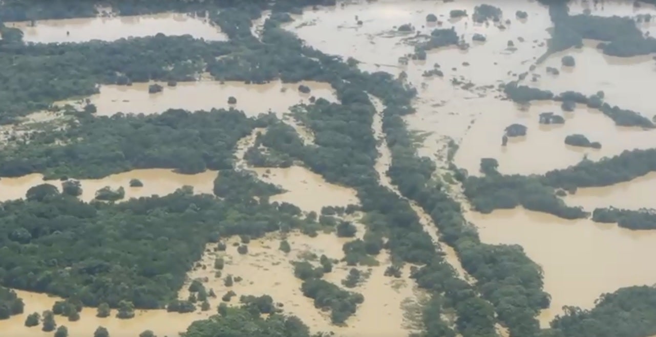 La Mojana, en el corregimiento Cara de Gato (departamento del Sucre).