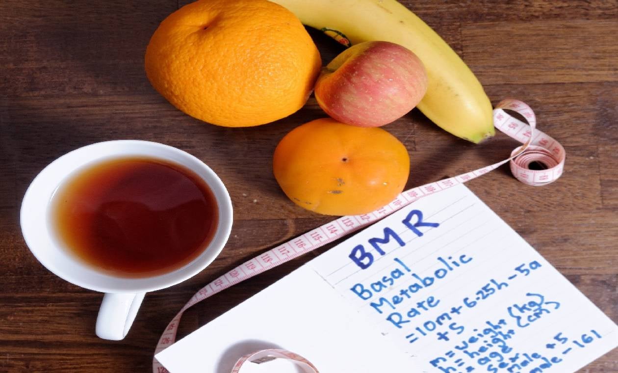 Metabolismo - imagen de referencia