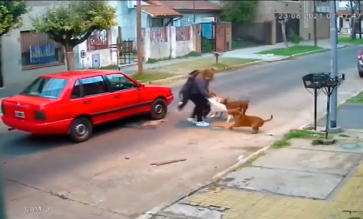 Pitbulls muerden a una mujer