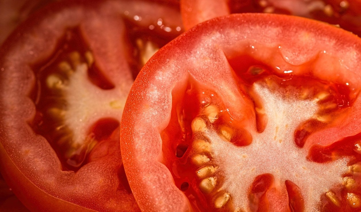 Desarrollan una vacuna comestible en tomates