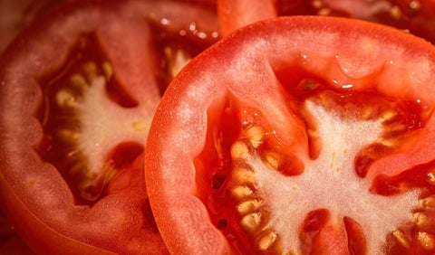 Desarrollan una vacuna comestible en tomates