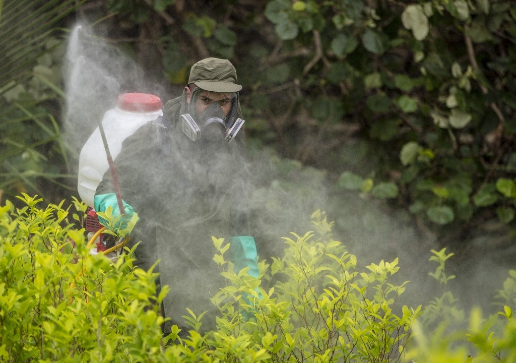 Policía Antinarcóticos - Lucha contra las drogas - Colombia - Tumaco - Cultivos ilícitos