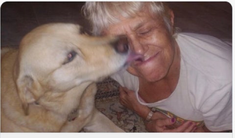 Mujer salva a su perro de caimán