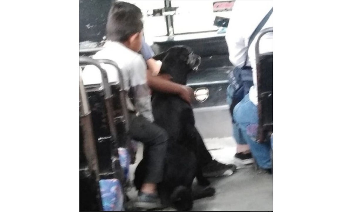 Pequeños con el perrito