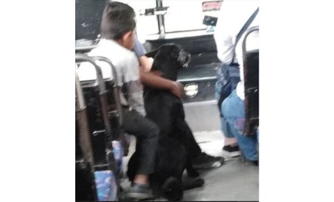 Pequeños con el perrito
