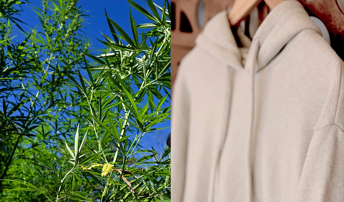 Ropa hecha con cáñamo de cannabis