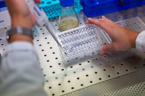 Laboratorio vacunas