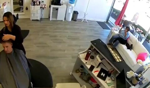 Venado destruye peluquería
