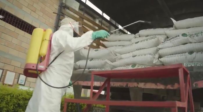 Imagen de referencia.