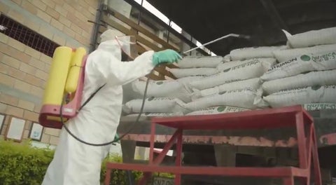 Imagen de referencia.