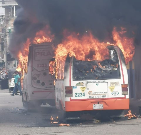 Buses Florida, Valle