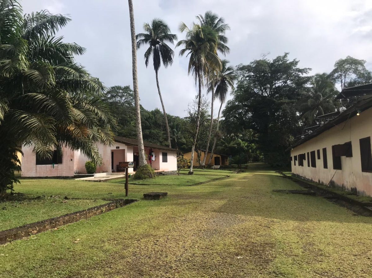 Isla Gorgona