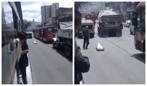 Muerto que se cayó de carro de criminalística