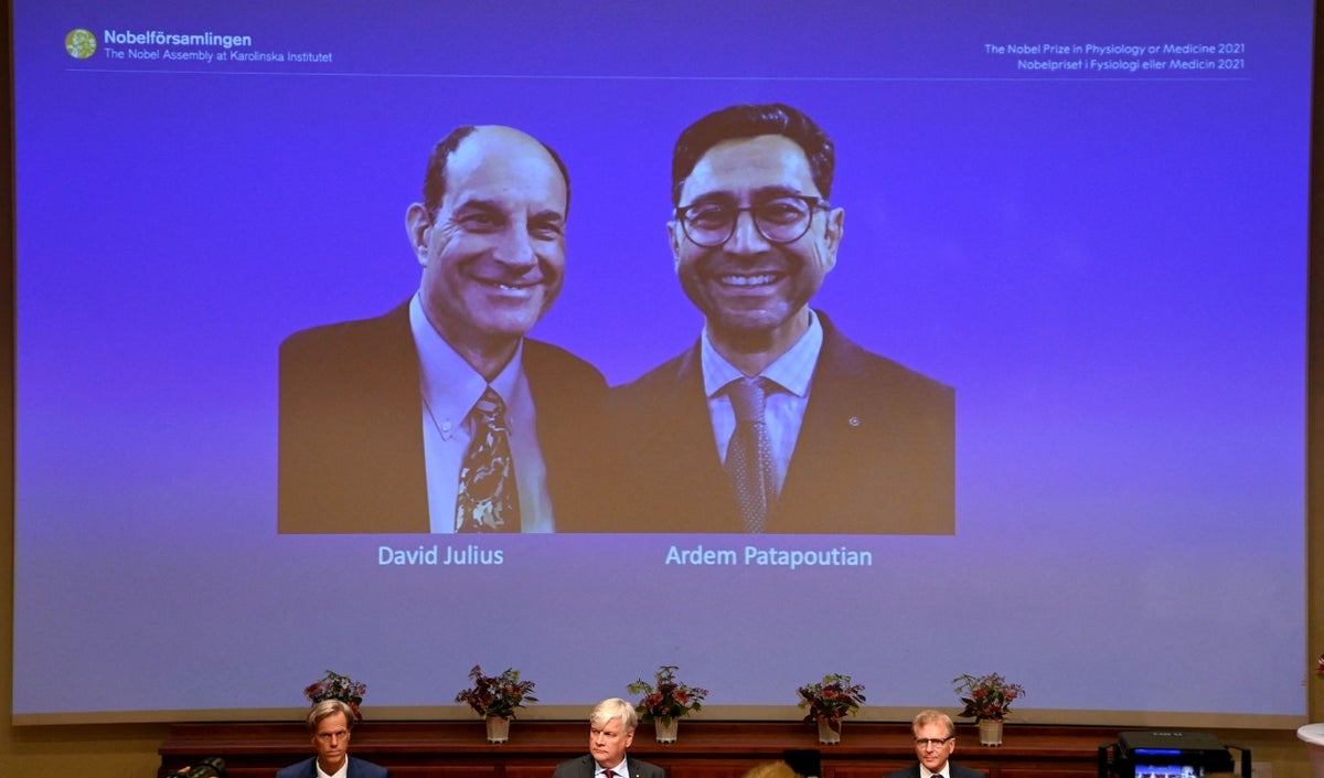 David Julius y Ardem Patapoutian ganan el Nobel de Medicina 2021