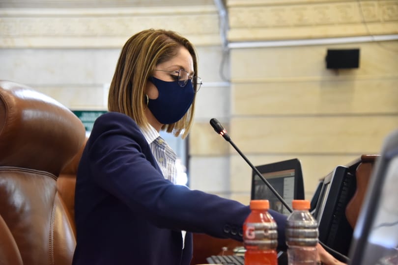 Jennifer Arias, presidenta de la Cámara
