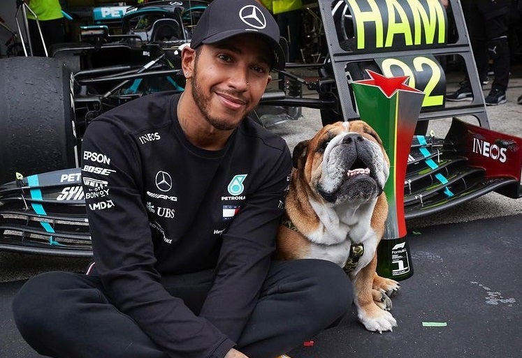 Perro de Lewis Hamilton