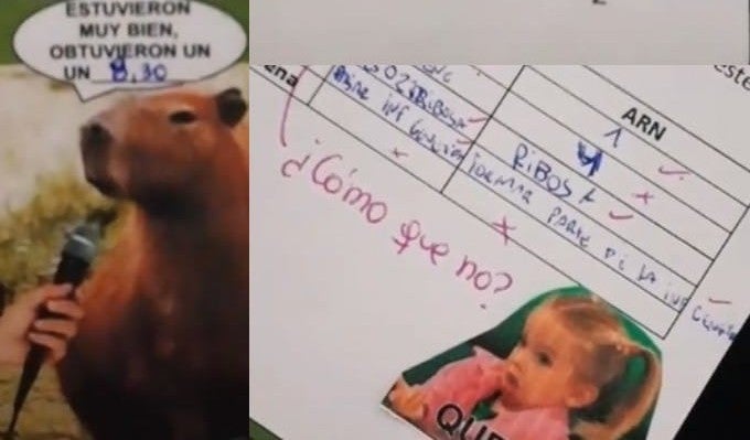 Maestra divierte a sus alumnos calificándolos con memes