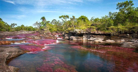 Parques Naturales de Colombia