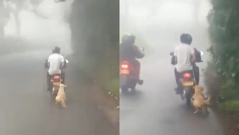 Perro arrastrado por una moto en Risaralda
