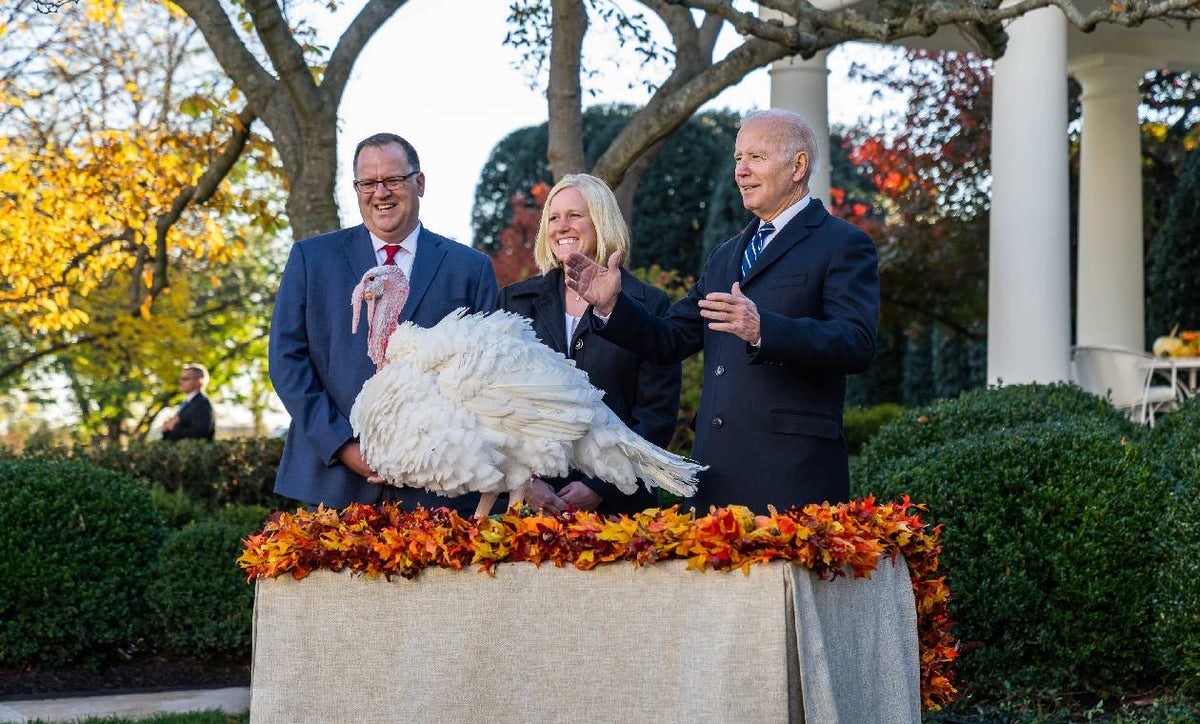Joe Biden sigue la tradición y perdona a dos pavos