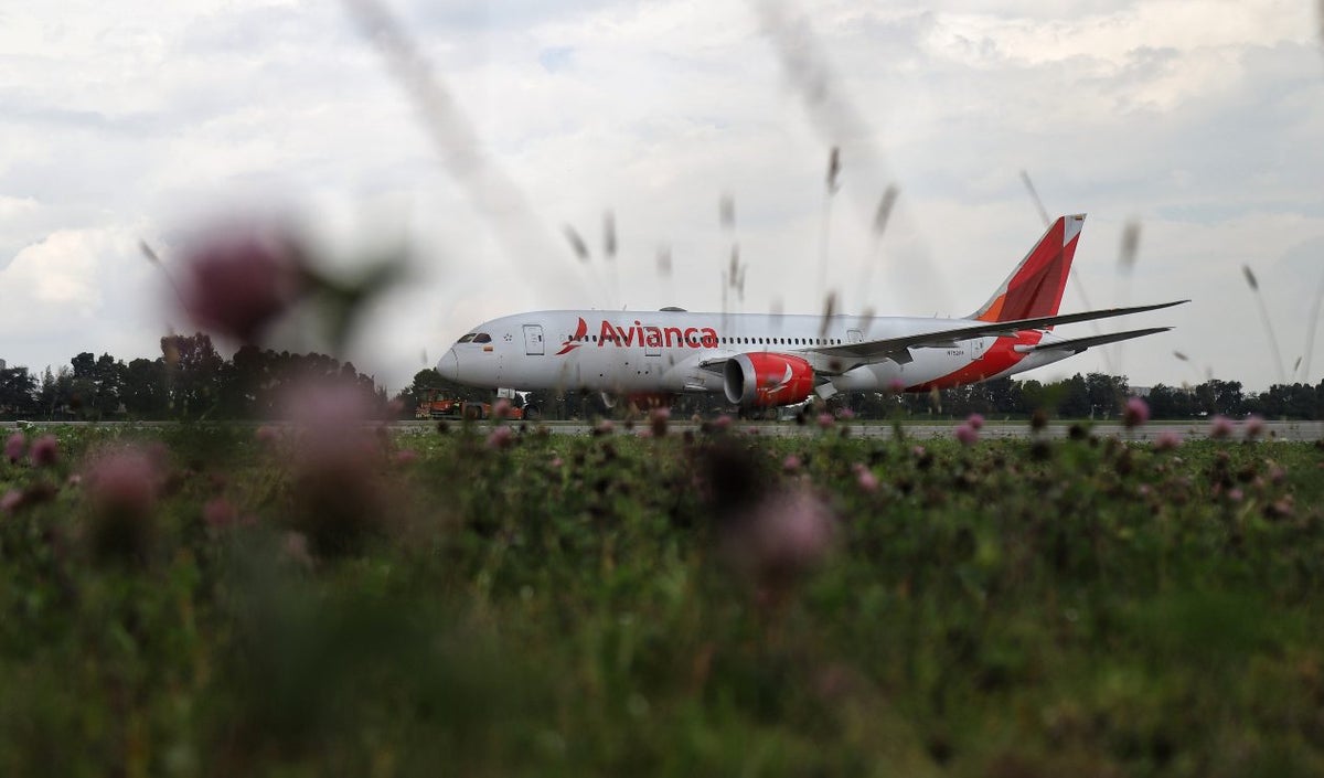 Avianca hará limpiza de sus aviones cada 5 trayectos