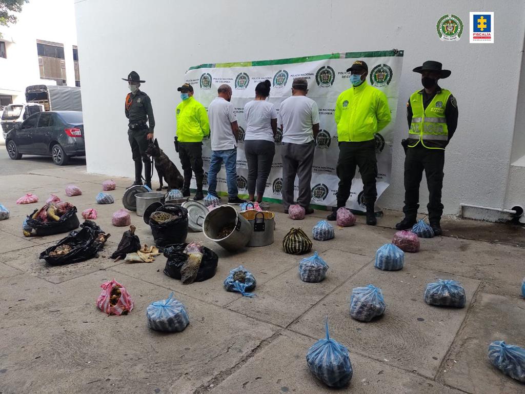 Capturados por por el delito de aprovechamiento ilícito de los recursos naturales renovables.