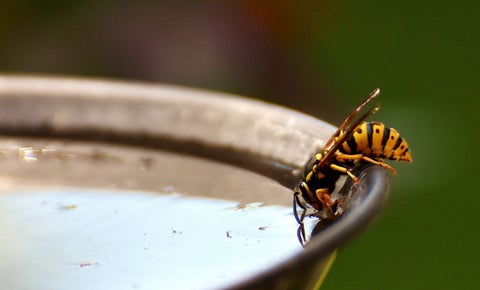 cortes de agua hoy martes 9 de noviembre en Bogotá
