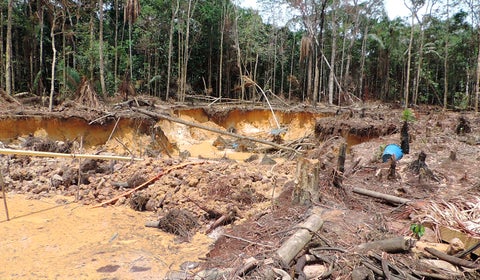 zona afectada por deforestación