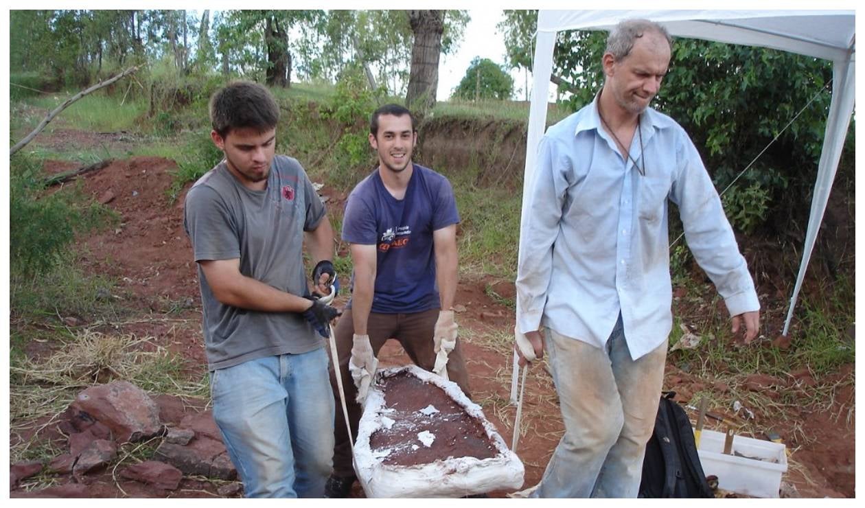 Descubren una nueva especie de dinosaurio "muy raro" en Brasil
