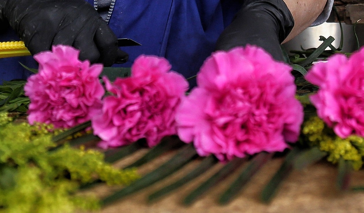 x Festival de las Flores Madrid Cundinamarca