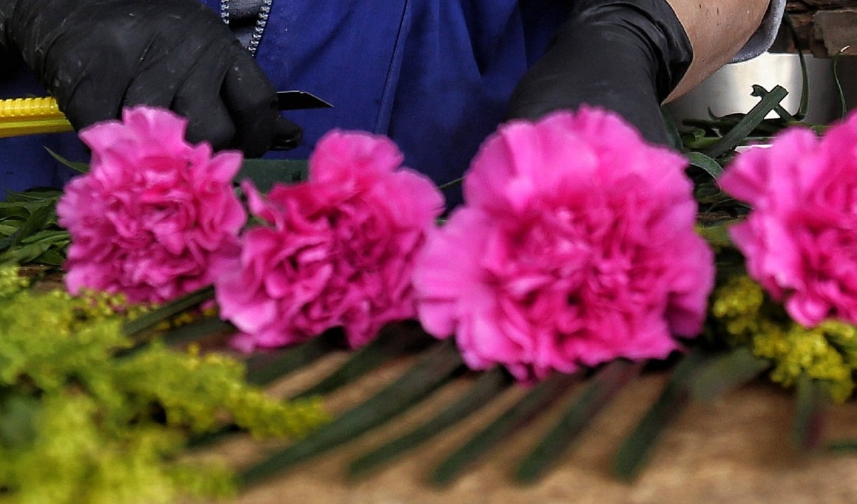 x Festival de las Flores Madrid Cundinamarca