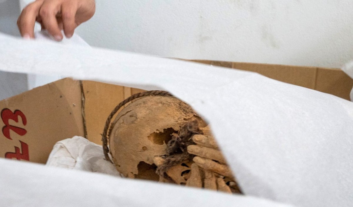 Momia de 1.200 años sigue intacta