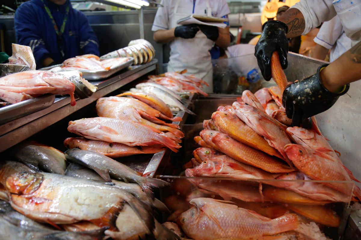 Pesca y acuicultura para exportar