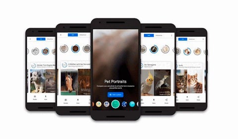 Pet portraits app de Google