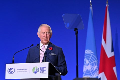Príncipe Carlos en la COP26