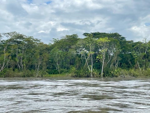 Río Magdalena necesita dragado ante ola invernal