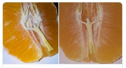 Jesús en una mandarina