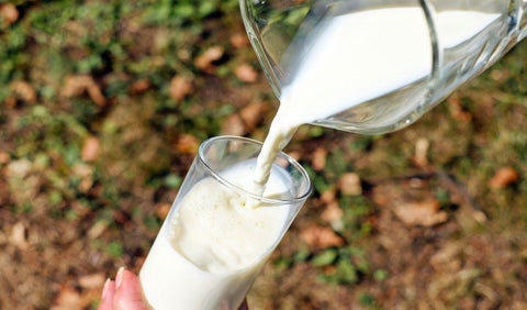 Producción de leche en Colombia