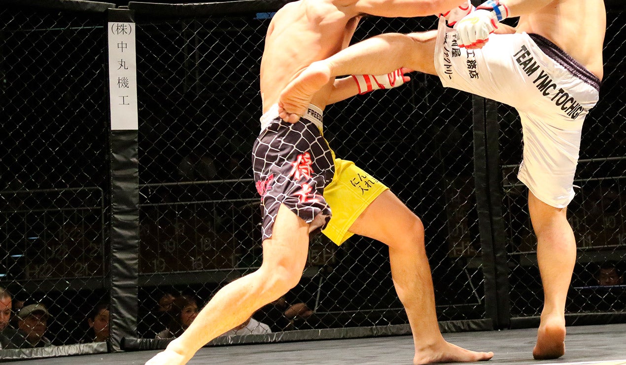 Peleadores en octágono de artes marciales mixtas