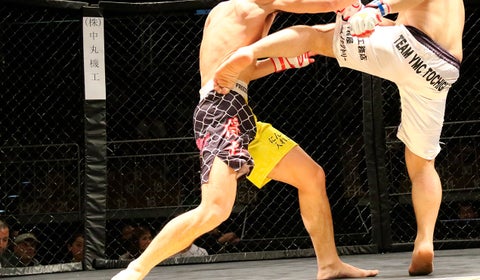Peleadores en octágono de artes marciales mixtas