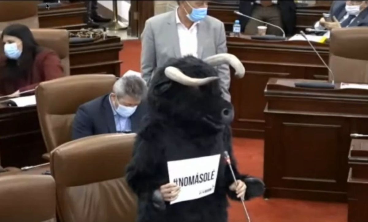 prohibir corridas de toros